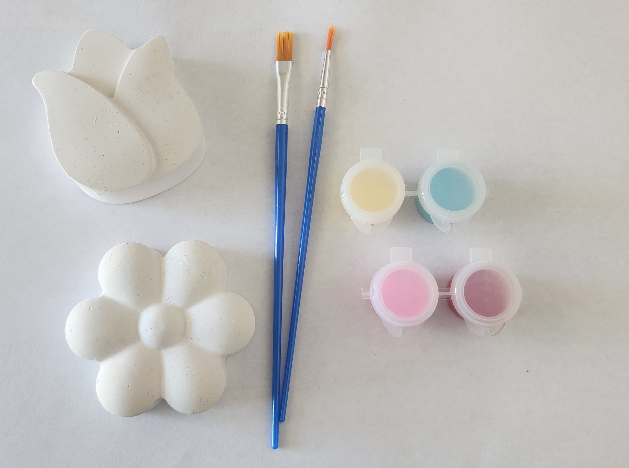 Flower Painting Set- 2pc